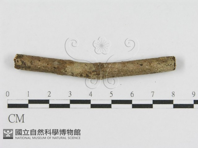 登錄號:F0010461藏品圖，第3張