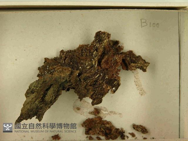 登錄號:F0021461藏品圖，第3張