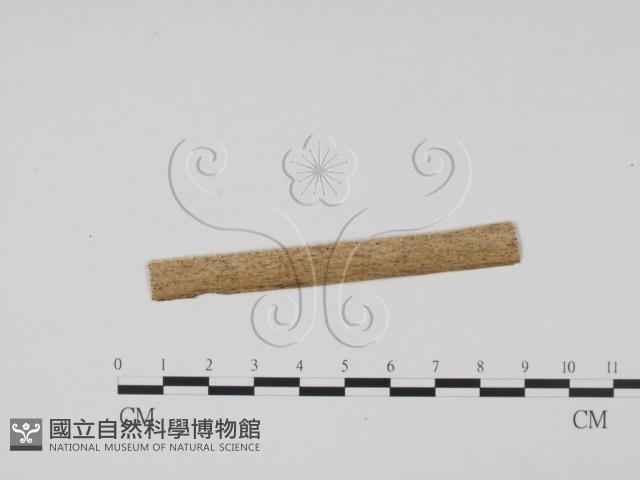 登錄號:F0011761藏品圖，第3張