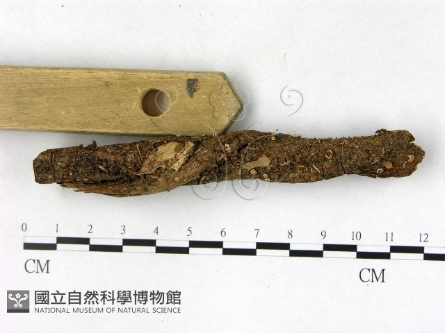 登錄號:F0022761藏品圖，第3張