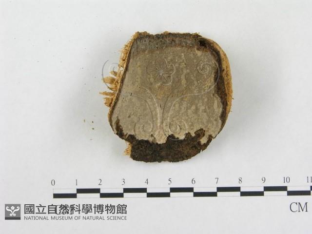 登錄號:F0002761藏品圖，第3張