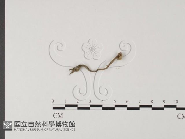 登錄號:F0007761藏品圖，第3張