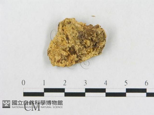 登錄號:F0006561藏品圖，第3張