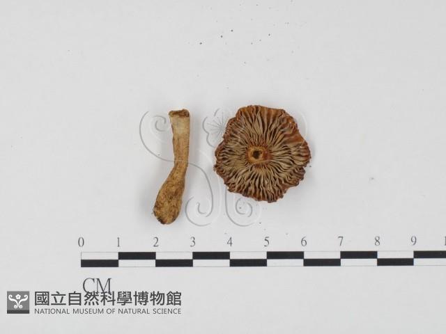 登錄號:F0024561藏品圖，第3張