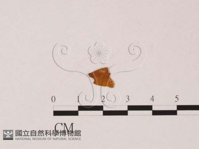 登錄號:F0019561藏品圖，第3張