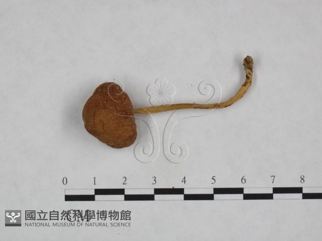 登錄號:F0023561藏品圖，第3張