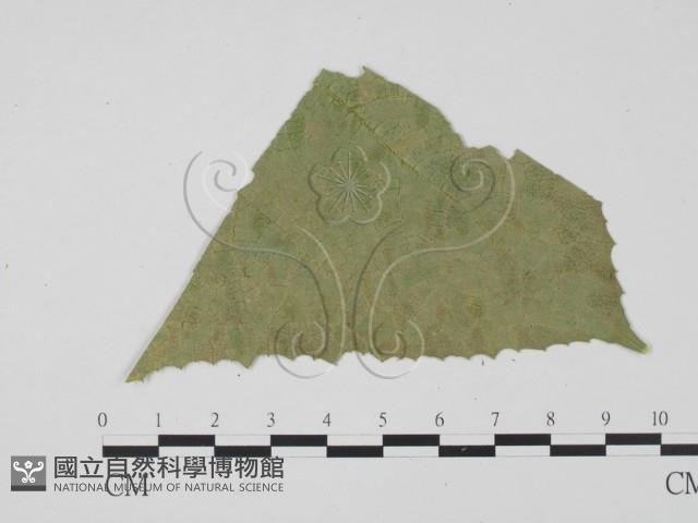 登錄號:F0010161藏品圖，第3張