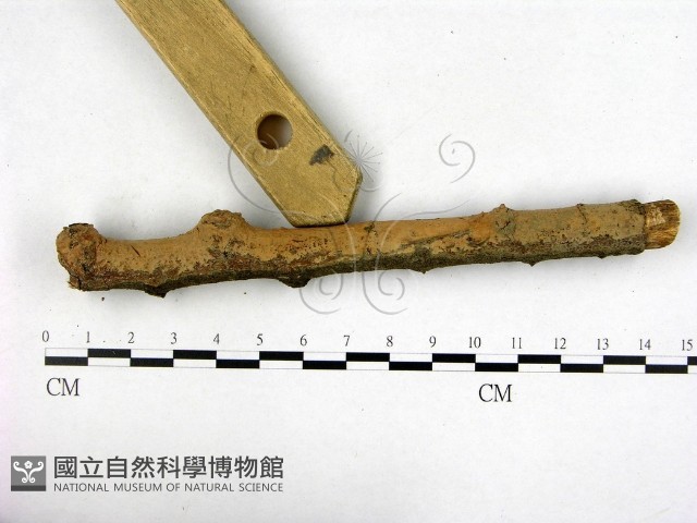 登錄號:F0022161藏品圖，第3張