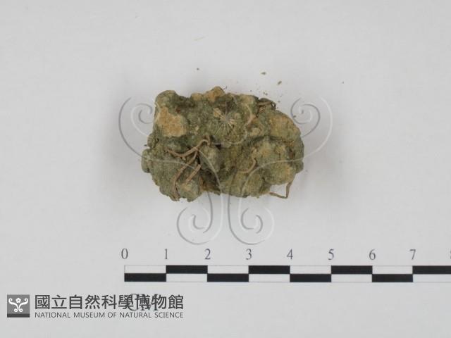 登錄號:F0002161藏品圖，第3張