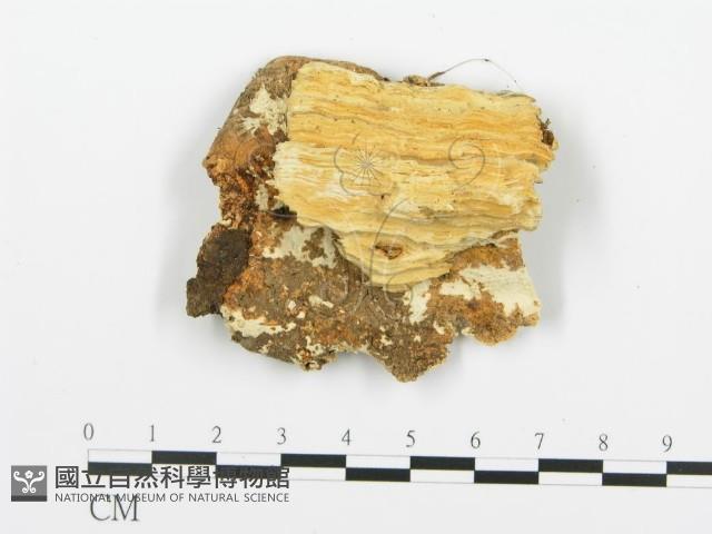 登錄號:F0006361藏品圖，第3張