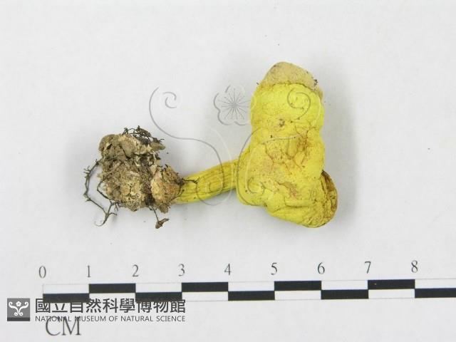 登錄號:F0002361藏品圖，第3張