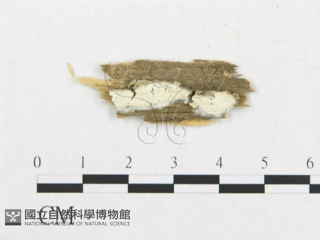 登錄號:F0017361藏品圖，第1張