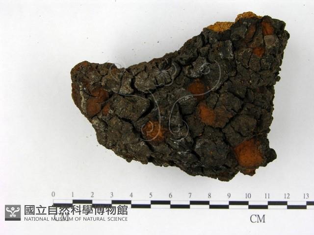 登錄號:F0018821藏品圖，第3張
