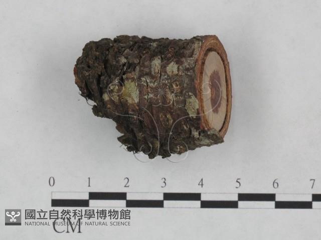 登錄號:F0024921藏品圖，第3張