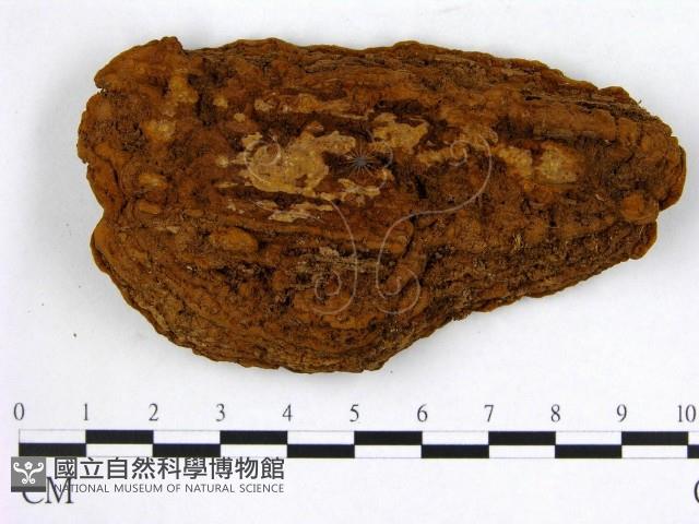 登錄號:F0009921藏品圖，第3張