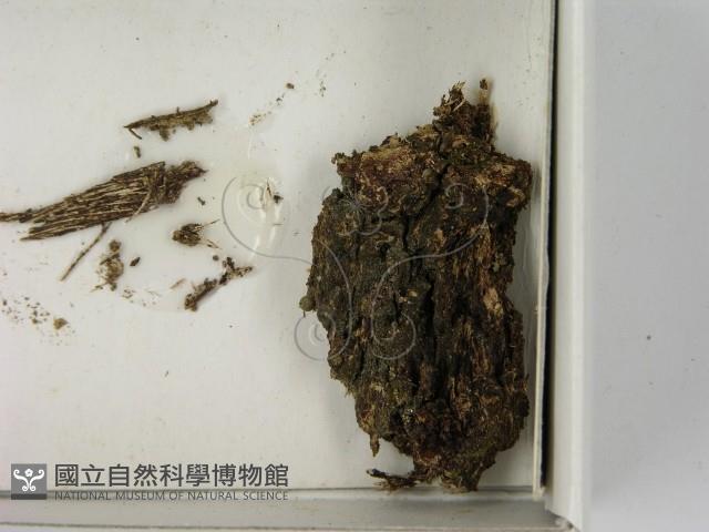 登錄號:F0021621藏品圖，第3張