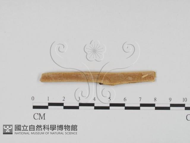 登錄號:F0011721藏品圖，第3張