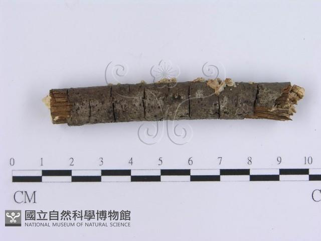 登錄號:F0002721藏品圖，第3張