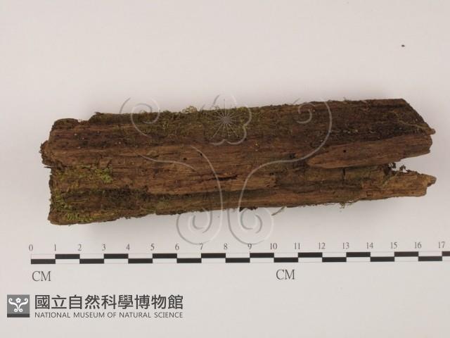 登錄號:F0007721藏品圖，第3張