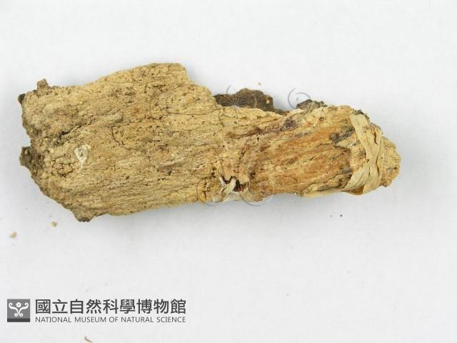 登錄號:F0009721藏品圖，第3張