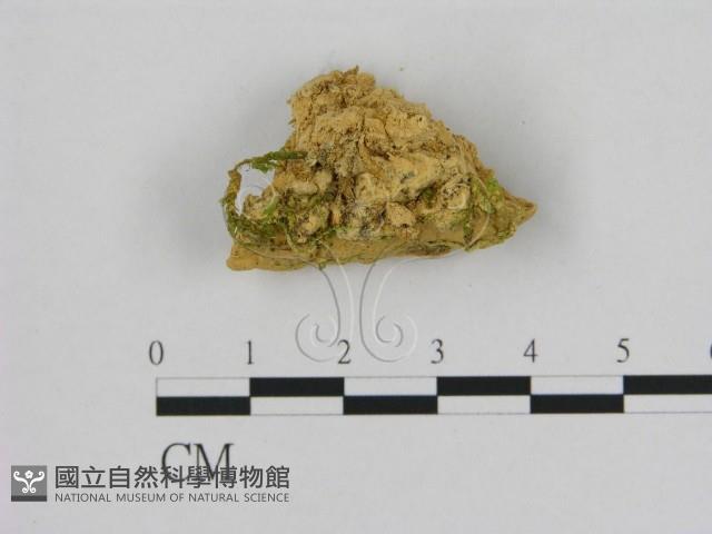 登錄號:F0006521藏品圖，第3張