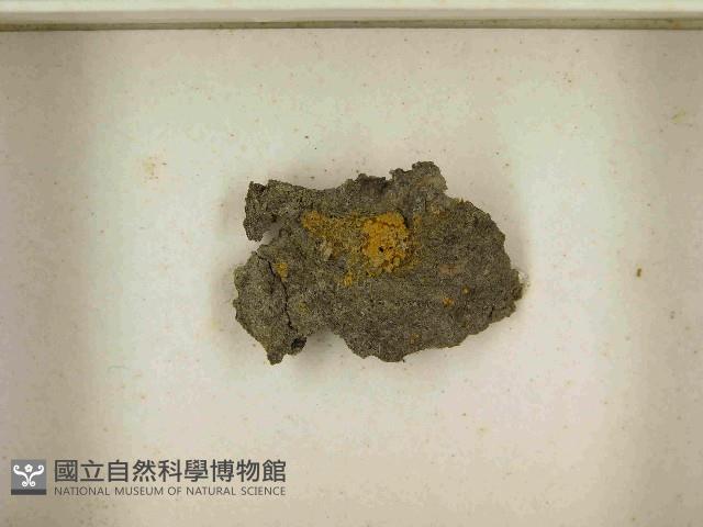 登錄號:F0021521藏品圖，第3張