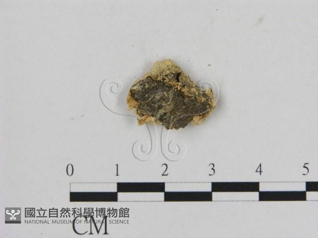 登錄號:F0011521藏品圖，第3張