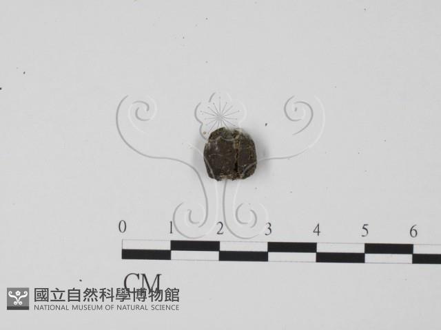 登錄號:F0001121藏品圖，第3張