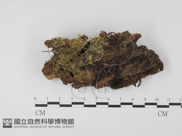 登錄號:F0012321藏品圖，第3張