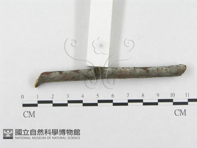 登錄號:F0015321藏品圖，第3張