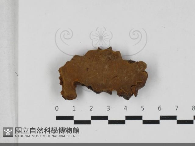 登錄號:F0033321藏品圖，第3張