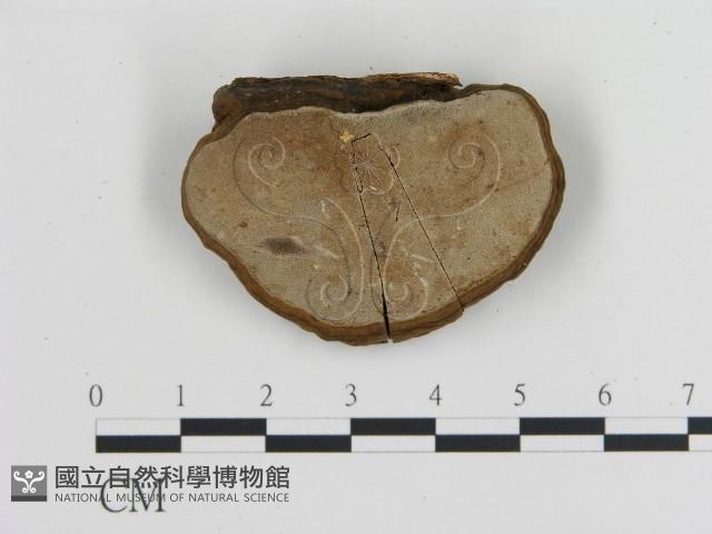 登錄號:F0010201藏品圖，第3張