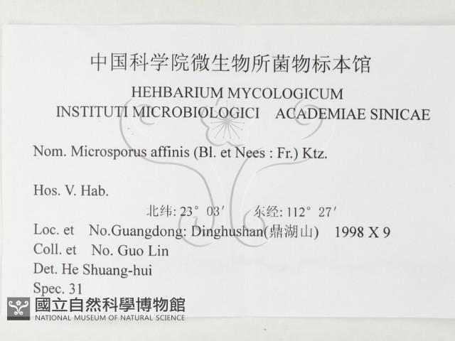 相鄰小孔菌藏品圖，第4張