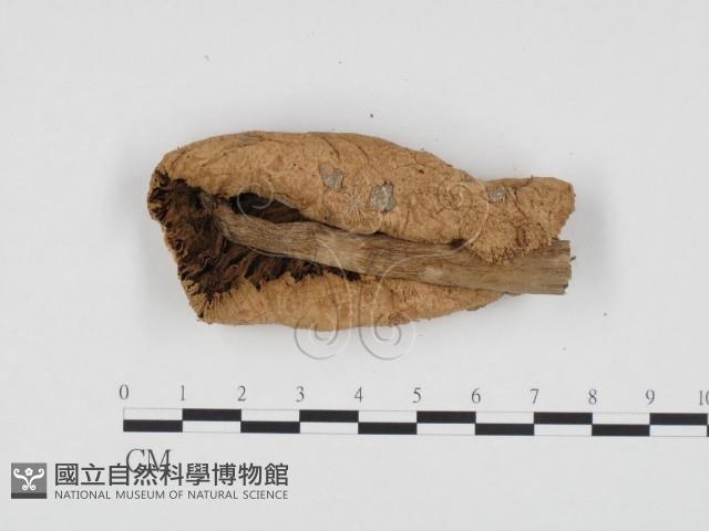 登錄號:F0024201藏品圖，第3張