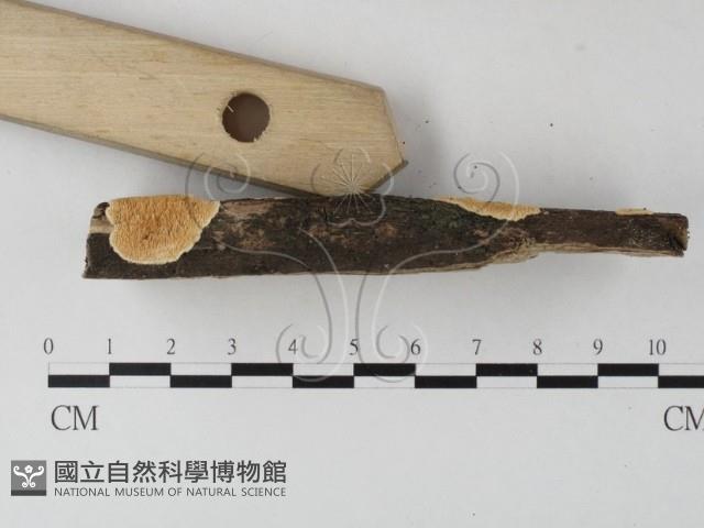 登錄號:F0022201藏品圖，第3張