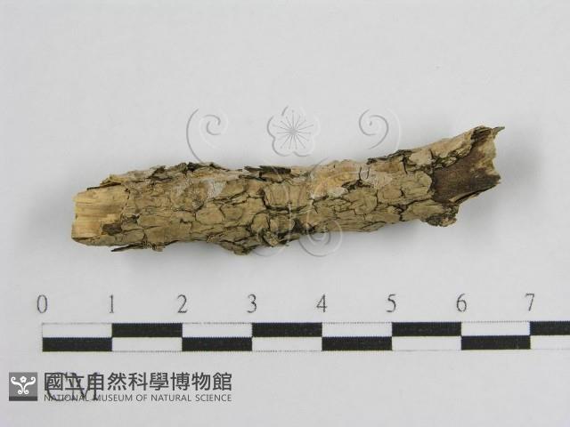 登錄號:F0017801藏品圖，第3張