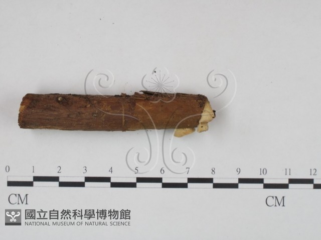 登錄號:F0004901藏品圖，第3張