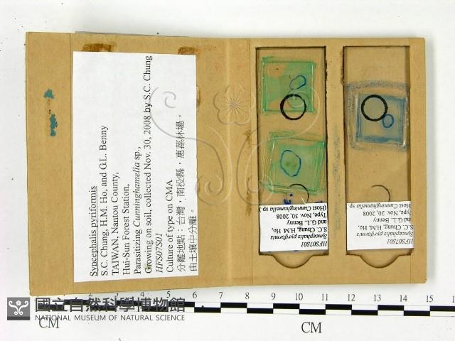 登錄號:F0022901藏品圖，第3張
