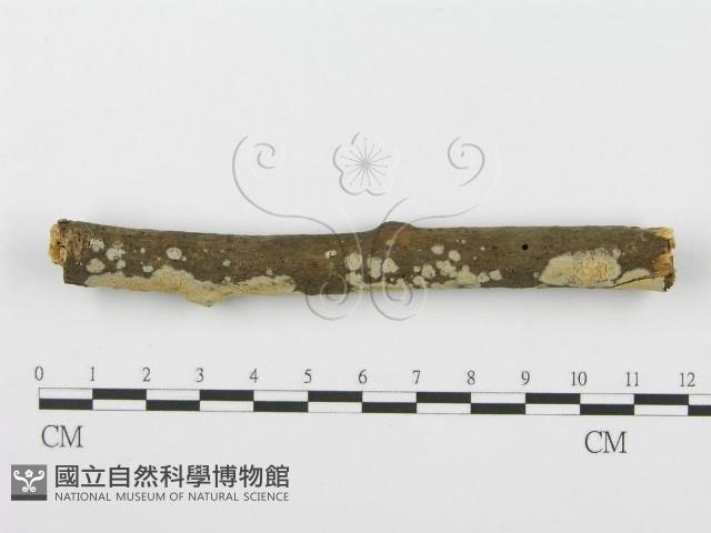 登錄號:F0001601藏品圖，第3張