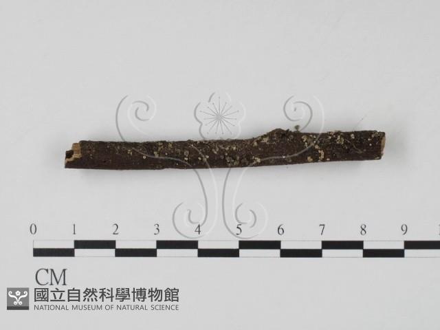 登錄號:F0007401藏品圖，第3張