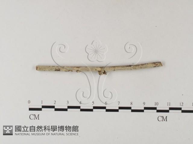 登錄號:F0025401藏品圖，第3張