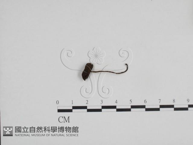 登錄號:F0024701藏品圖，第3張
