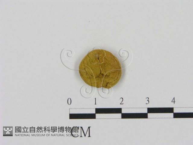 登錄號:F0012701藏品圖，第3張