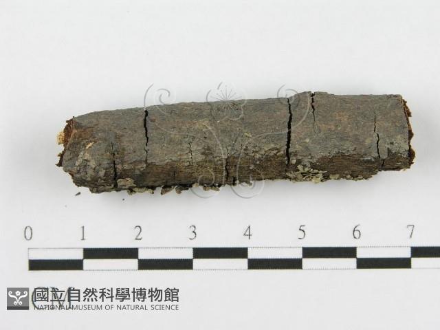 登錄號:F0013701藏品圖，第3張