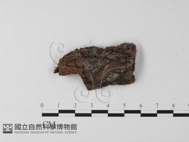 登錄號:F0019501藏品圖，第1張