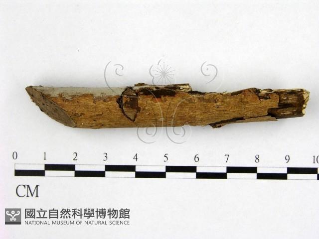登錄號:F0021001藏品圖，第3張