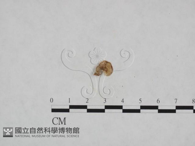 登錄號:F0023301藏品圖，第3張