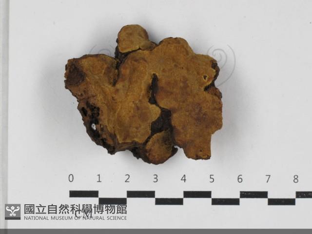 登錄號:F0033301藏品圖，第3張