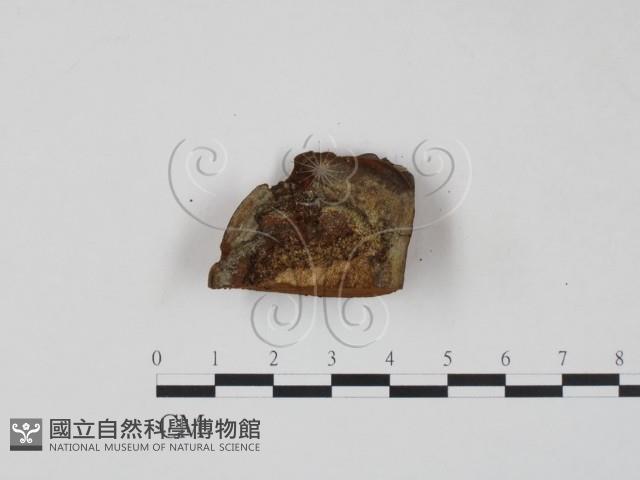 登錄號:F0007211藏品圖，第3張