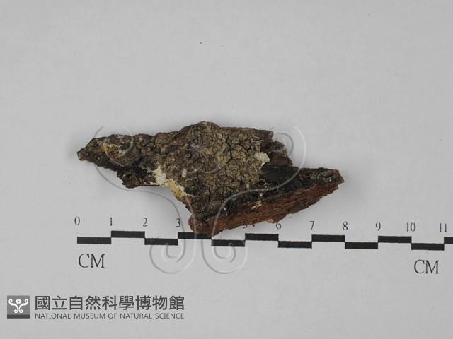 登錄號:F0028811藏品圖，第1張